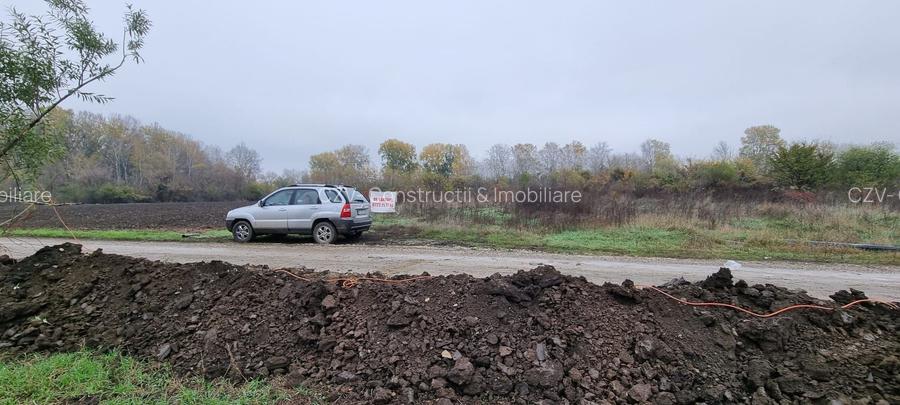 Stradal- Utilitati- Liziera Ciorogarla - Strada Sacamilor - 5