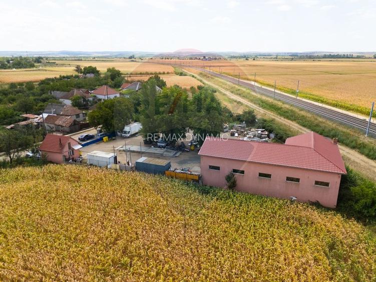 Spațiu industrial cu potential de vanzare in Paulis,Arad - 22