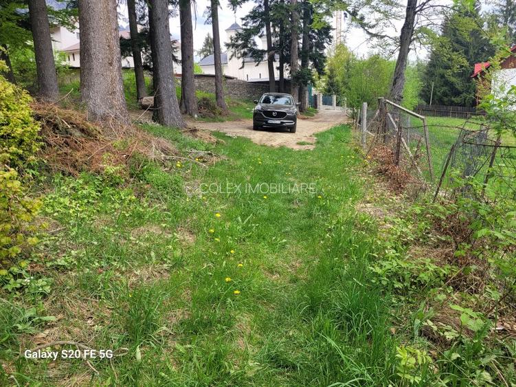 Teren intravilan de vanzare in Busteni - 4