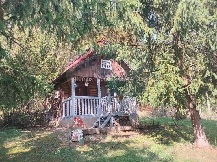 OCAZIE!!! CASA SUPERBA cu teren in JULITA jud Arad in M tii Zarandului - 41