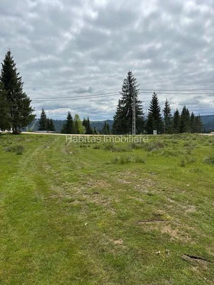 Teren drept de 1342 mp cu front 24 m Belis - 5