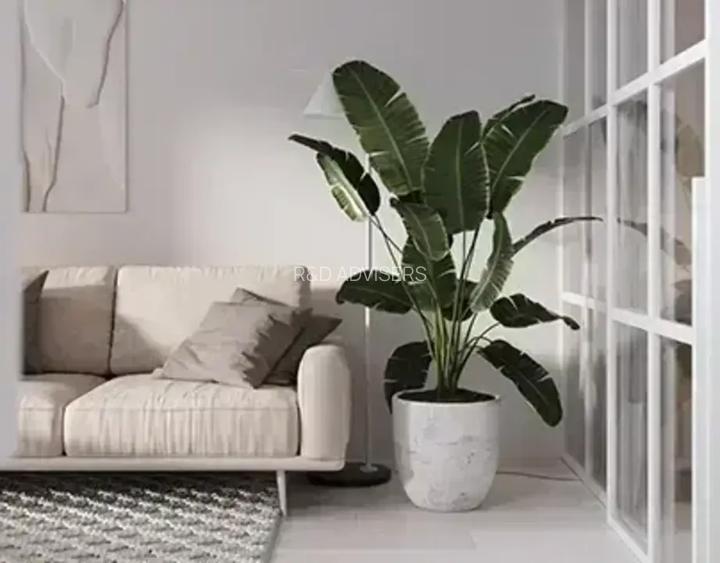 2 Camere | izolat fonic | Predare Decembrie – Theodor Pallady - 4