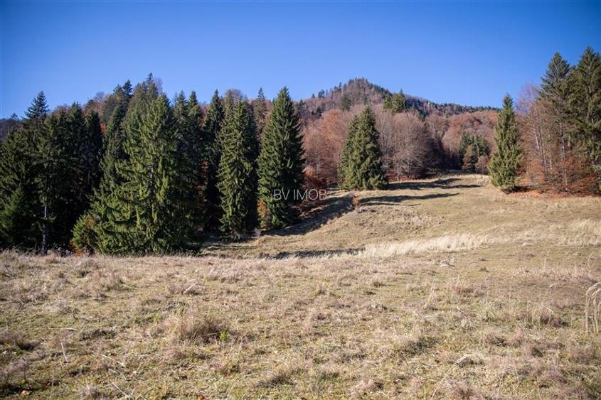 Teren de Vis langa Siriu  – 20000 mp ideal pentru Complex turistic Comision 0% - 16