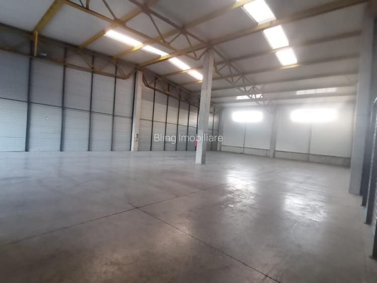 Hala Industriala de inchiriat in Capusu Mare - 3