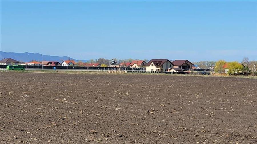 50.000mp teren intravilan, Clasa Master,  in Brasov spre Stupini - 4