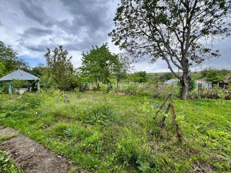 Casa + teren 4430 mp, vie si pomi fructiferi, 22 km de Tecuci - 20