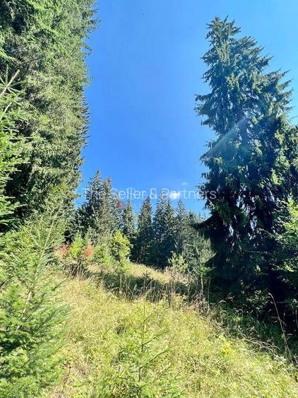 Teren Intravilan Predeal - Acces direct DN - Priveliste deosebita - 38