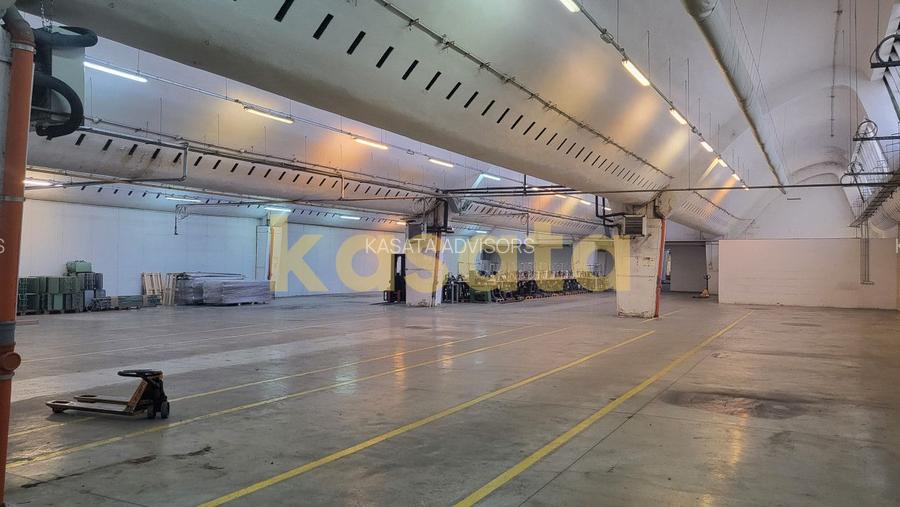 Spatiu de depozitare/productie de inchiriat-Pantelimon - 4