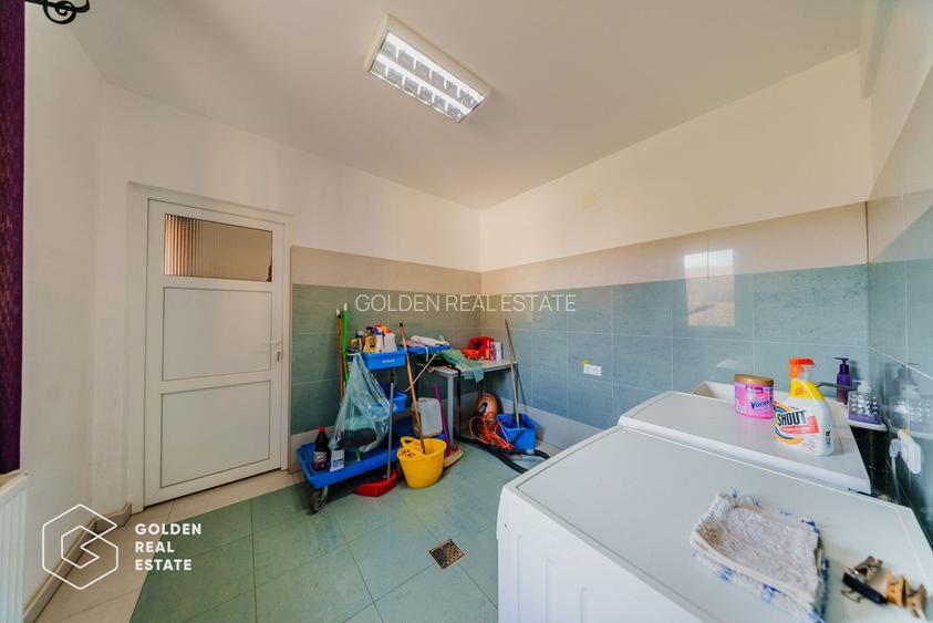 Proprietate pretabila pentru afacere, Cladova - 19