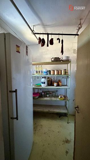 Casa 5 camere + teren 1845 mp Sanandrei - 15