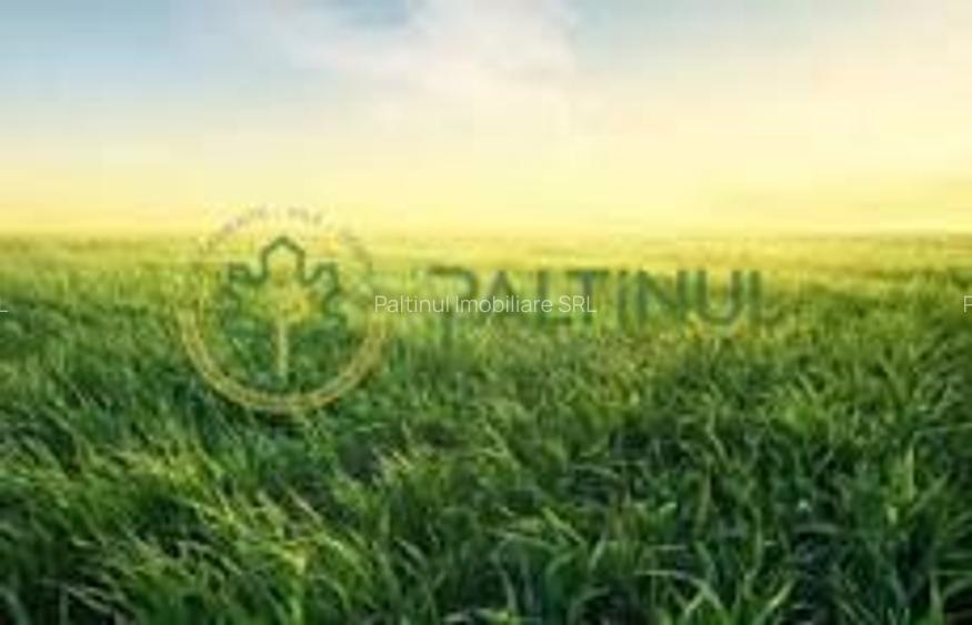 Teren de vânzare – Poplaca, Sibiu - 5