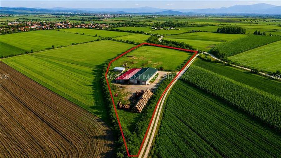 FILM! 18.000 mp, extravilan, agricol+ constructii:ferma,investitii agricole, Rot - 2