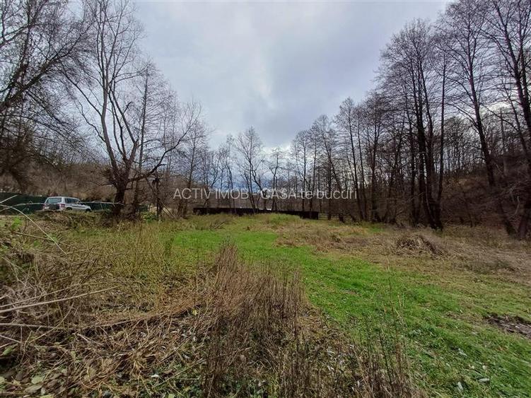 Resita, Teren Drept Intravilan, Langa Prau si Drum, 1308 Mp., 15 Euro Mp., Renk - 10