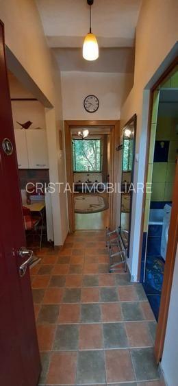 Garsonieră în vilă, terasă 10 mp, curte proprie, mobilată complet, Baba Novac - 6