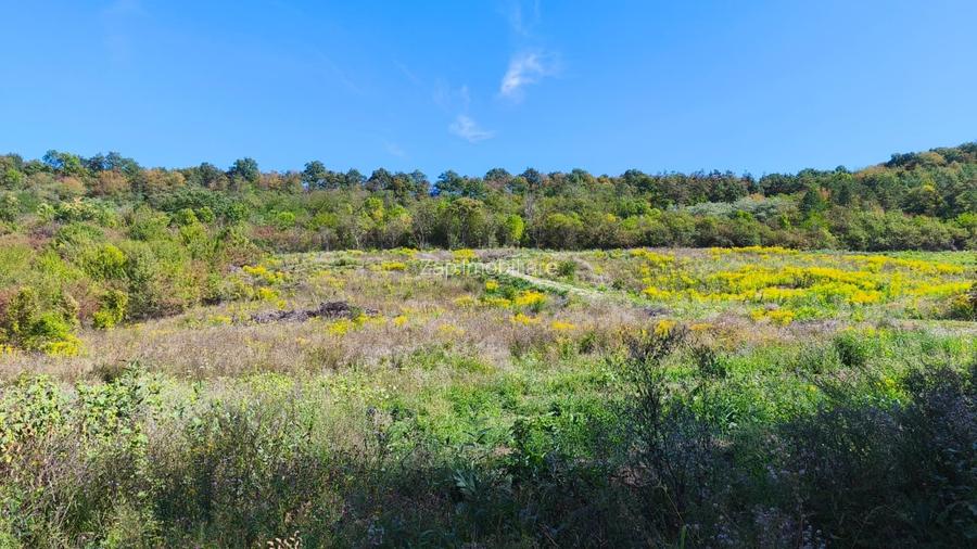 Corunca - 650 mp cu PUZ - zona superba si linistita - 5