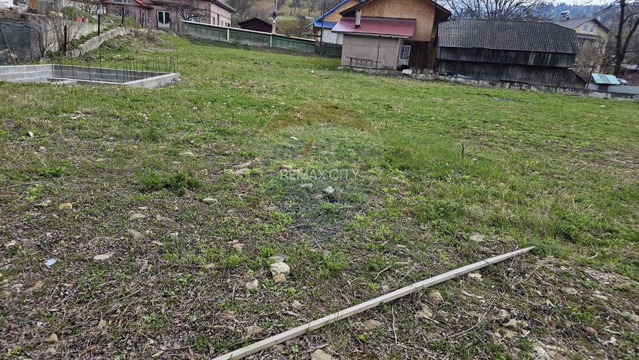 Teren 1,520mp Hangu / Strada Principala - 7