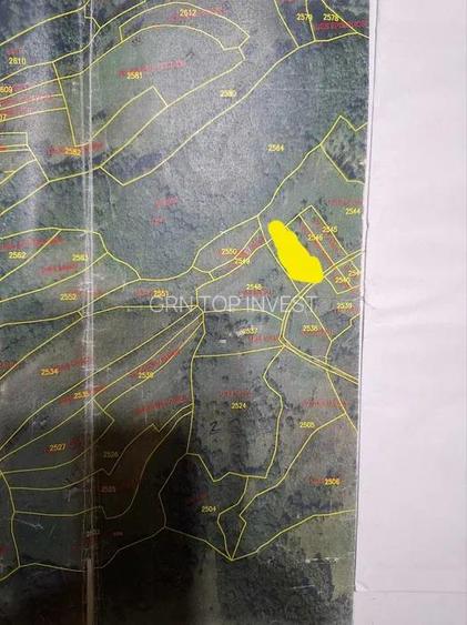 2 parcele de 4265 mp 2804 mp extravilan Transapuseana, sat Macaresti - 7