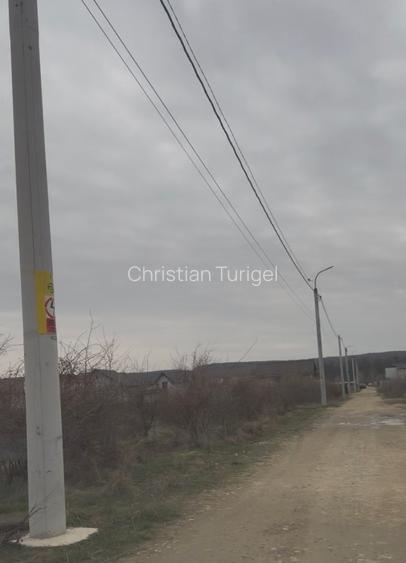 📍 Teren intravilan Premium – 538 mp | Aleea Bradului 59, Smeura – Moșoaia - 7