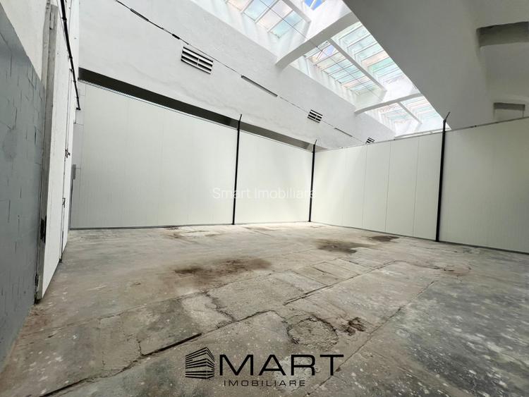 Hala industriala 100 mp  Cisnadie  - 5