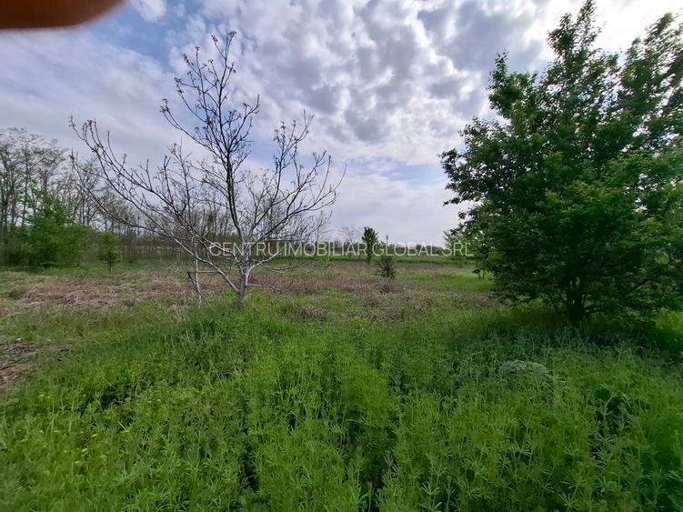 Teren construibil - 5