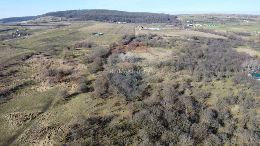 Teren 20.146 mp Dâmbu Rotund (Lomb).Extravilan.Potențial rezidențial - 16