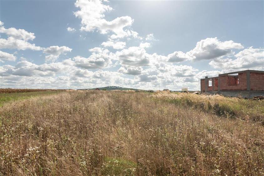 Teren intravilan in Rontau - 5