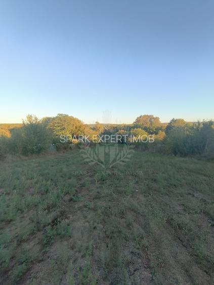 TEREN INTRAVILAN  PLOPU//3000 MP - 5