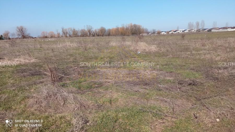 Teren  intravilan 465mp Str Lebedelor Comuna Berceni - 4