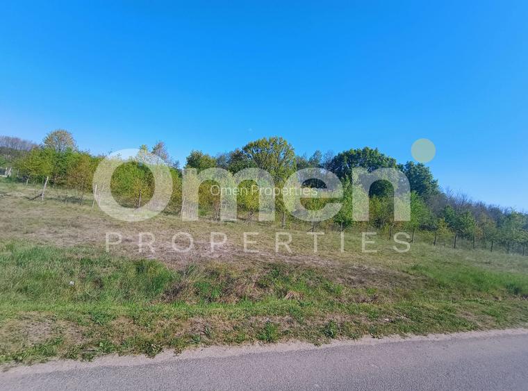 Teren Intravilan | 3444 mp | Tăuții Măgherăuș - 5