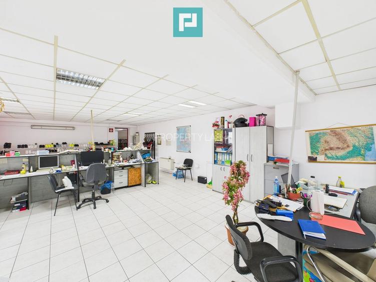 Hală de producție, cu birouri și teren, în Sebiș - 34