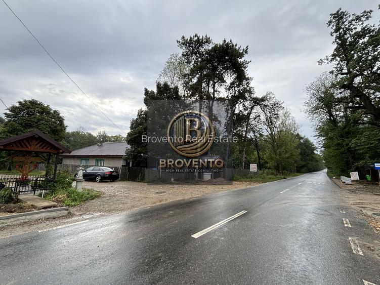Teren Moara Vlasiei / Strada Cantonului - Padure - 5