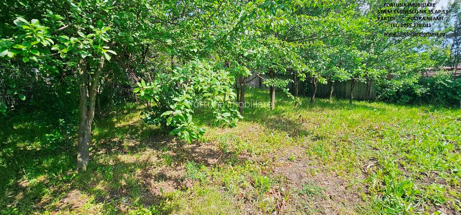 Proprietate com.Bodesti, casa+ anexe + teren 7481 mp - 6