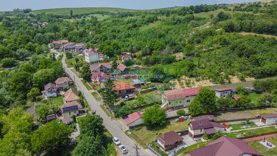 Inchiriere, Casa pe 3 niveluri+teren 3650mp, loc Comsesti, Lacurile Martinesti - 24