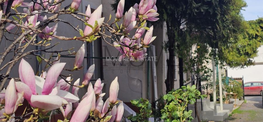 Spatiu pentru afacerea ta situat la parterul unei vile- Caderea Bastiliei - 19