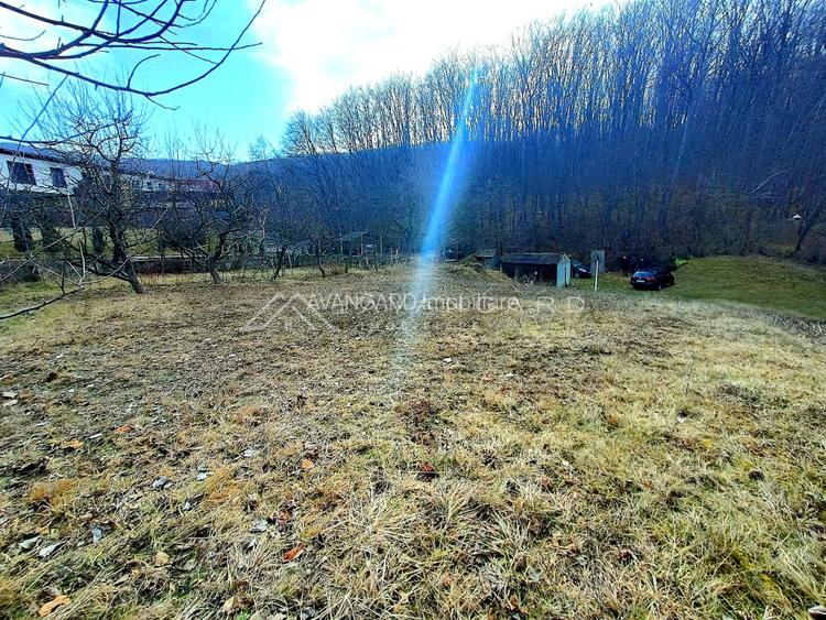 Teren construibil 1195 mp, Faget (incadrare urbanistica LID) - 3