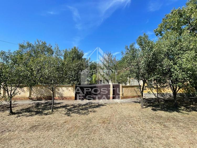 Casa cu teren 3407 mp, la asfalt, Seceani, 26 km de Timisoara. - 2