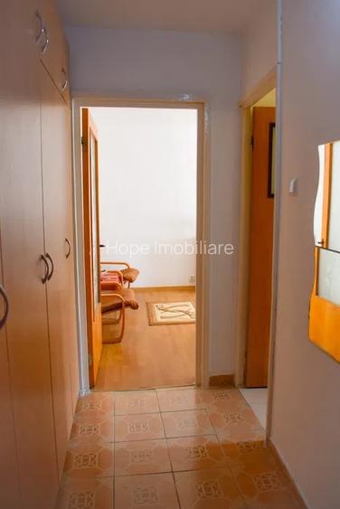 Teiul Doamnei - Garsoniera bloc mixt - 5