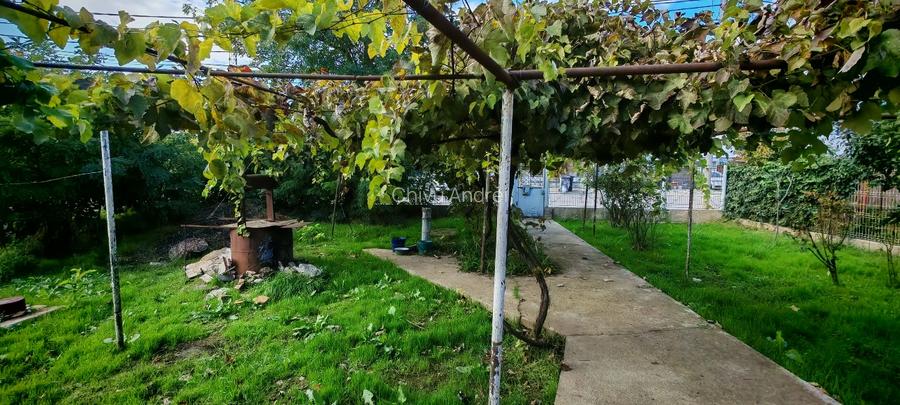 Teren vânzare zona Viile Noi - 8