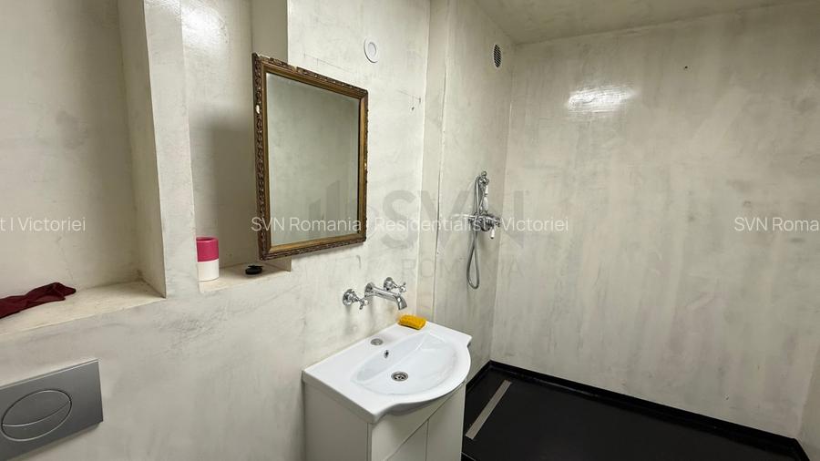 REC3001628 Spatiu Comercial I De Inchiriat I Dacia - 6