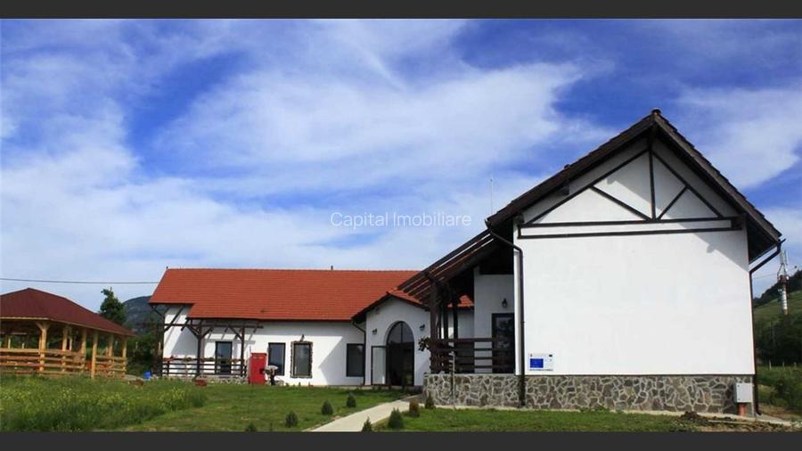 Guesthouse for sale near Mehedinți Mountains - 8