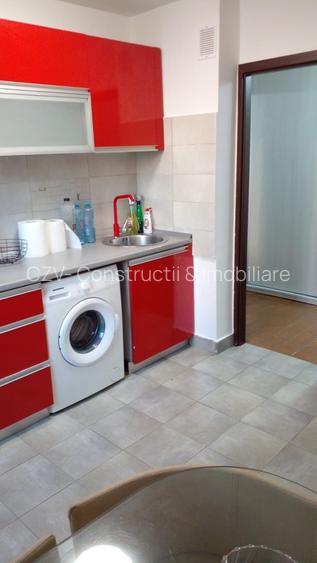 Ap  3   camere Valea Oltului - 10
