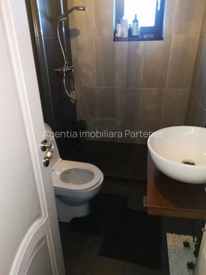 Vanzare/inchiriere duplex Trivale, mobilat, teren 300mp - 13