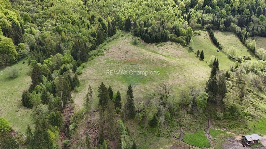 Extravilan + Intravilan | Sătic-Rucăr | Cadru natural | Turistic - 5