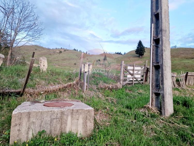 Teren cu vedere la Muntele Ceahlau - 23