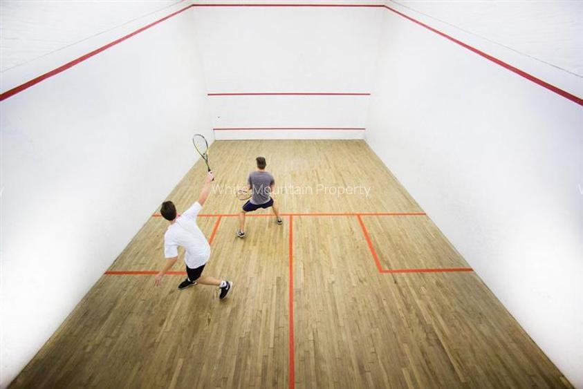 Tei, apartament 2 camere, inchiriere lunga durata, VIDEO - 9