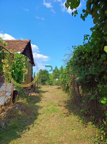 Casă cu teren 1.647 mp de vânzare – Hașag, Sibiu