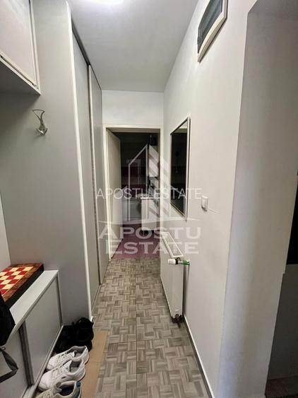 Doua apartamente de vanzare la curte comuna,zona Traian, Timisoara - 9