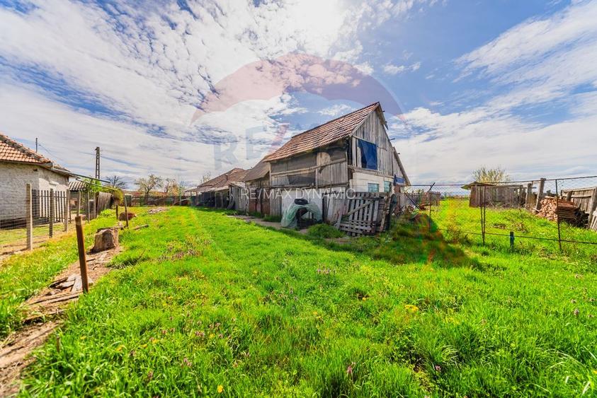 Casă cu teren 4500mp de vanzare in Carand Jud. Arad - 18