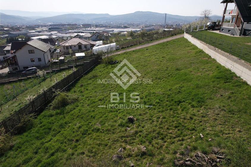 Teren de vanzare 10 ari - zona LEONI - 8