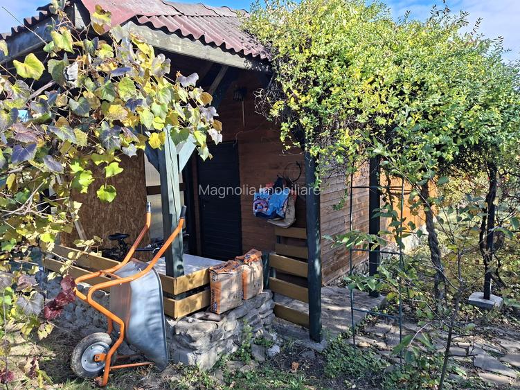 Priveliste de vis, 5 camere + anexe, teren 7000 mp, gata de mutat - comision 0%! - 5